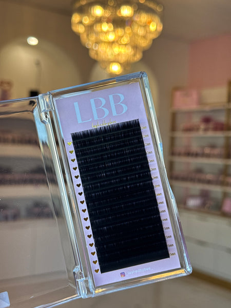Volume LBB Lash Trays C Curl
